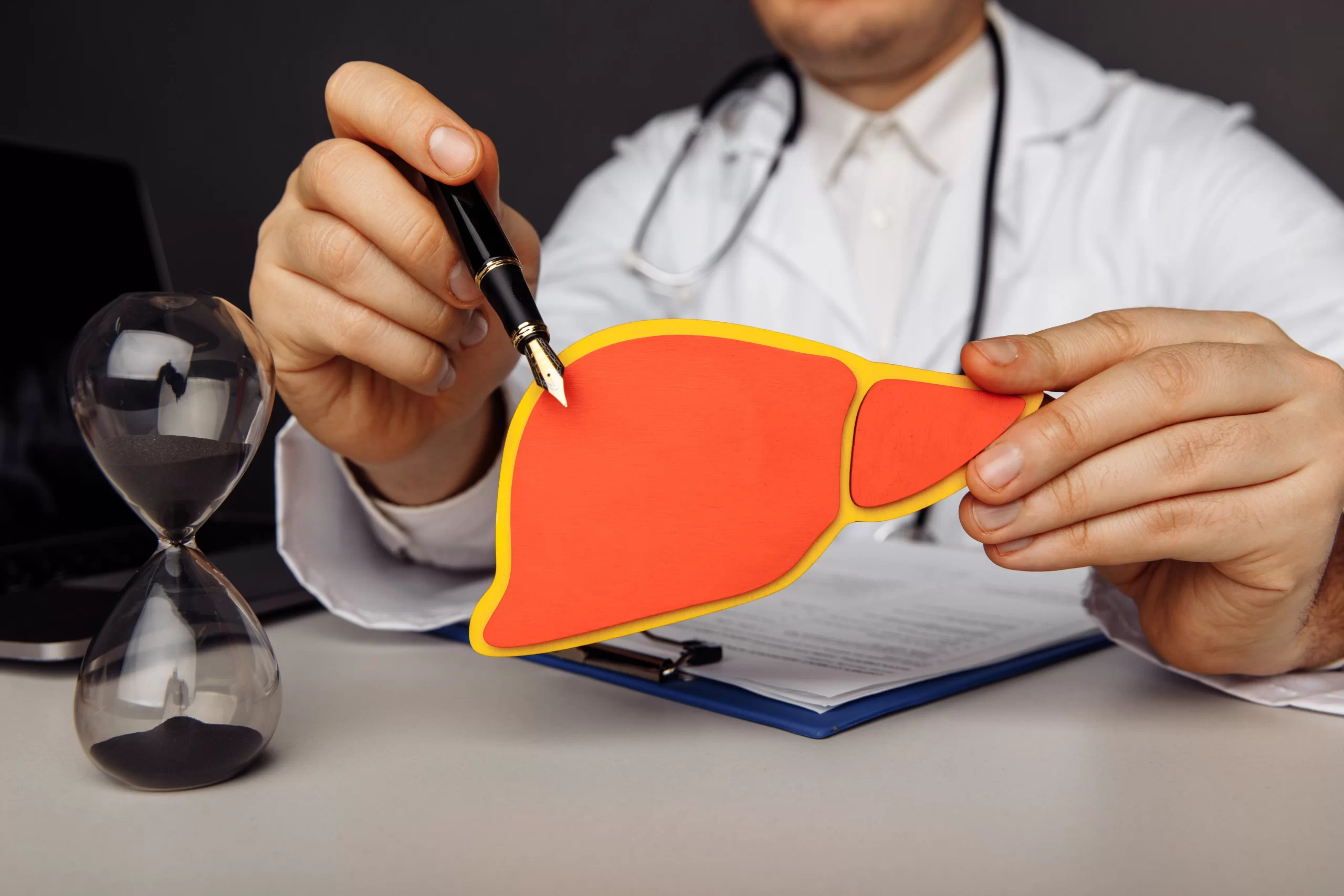 Doctor presenting wooden liver model — illustrating liver detox benefits, including toxin elimination, improved metabolism, and overall wellness support.