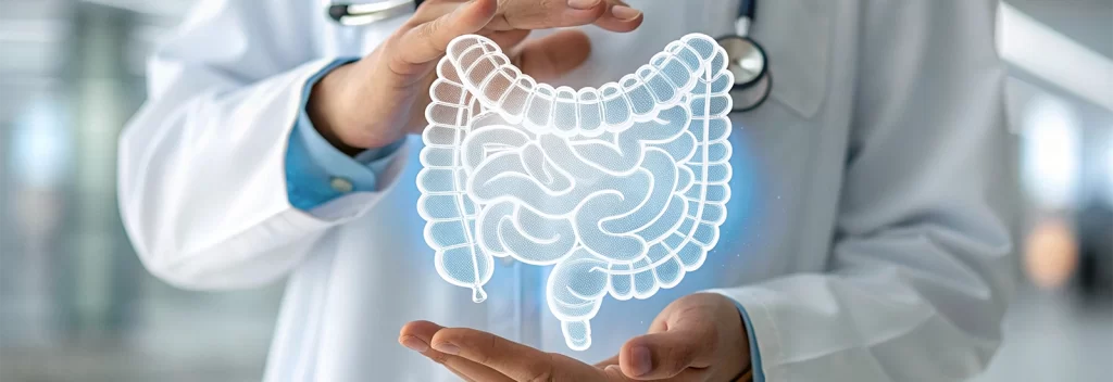 Doctor presenting 3D gut model to explain why colon hydrotherapy supports gut-brain connection and promotes digestive health.