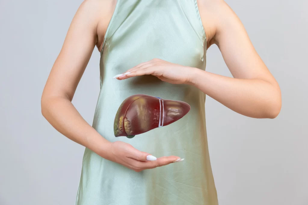 Hands holding a symbolic liver — representing the importance of liver detox in flushing out toxins, boosting vitality, and supporting overall health.