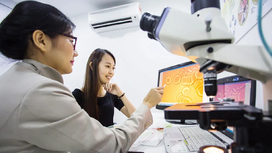 Doctor reviewing comprehensive health assessment results with client, providing a detailed explanation and personalized wellness advice.
